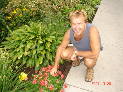 560_300.jpg