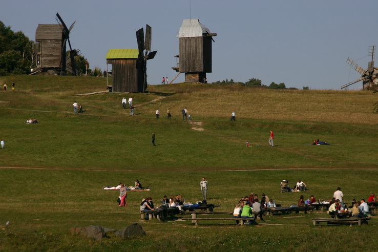 58.jpg