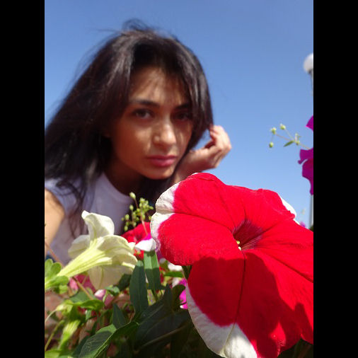 5_192.jpg
