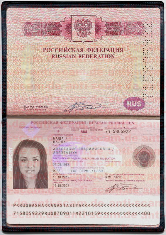 71_5805922_-_Basha.jpg