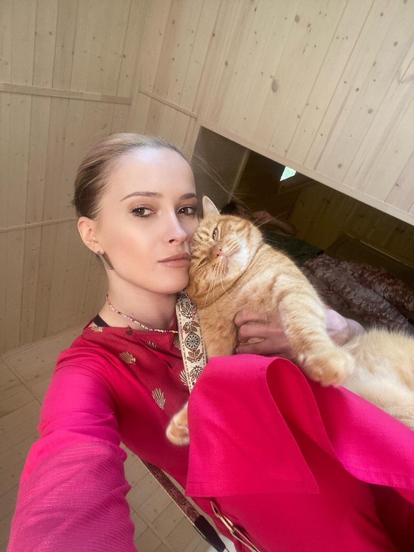 Cat_001.jpg