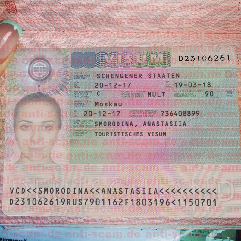 D23106261_-_Smorodina_Visum.JPG