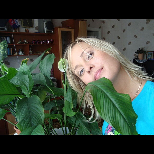 IMG98264.jpg