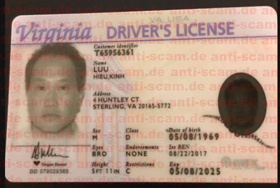 Luu_-_Virginian_License.jpg