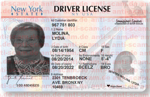 MOLINA_LYDIA_-_DRIVER_LICENSE.JPG