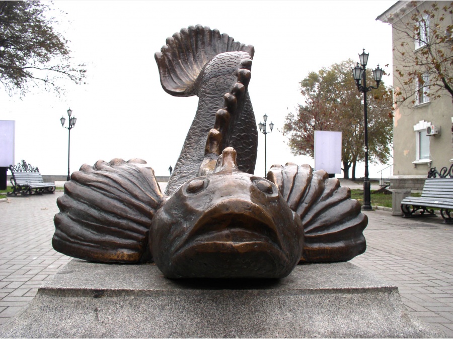 PB070023-_kopija_.jpg