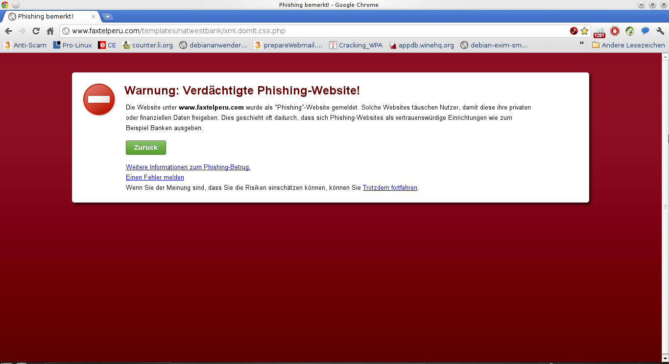 Phishing_bemerkt__-_Google_Chrome_001.png