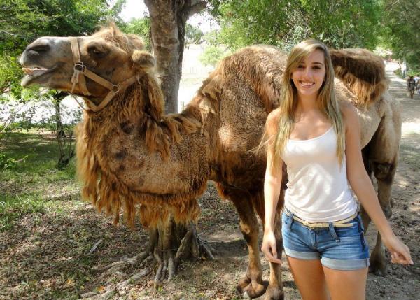 camel_001.jpg