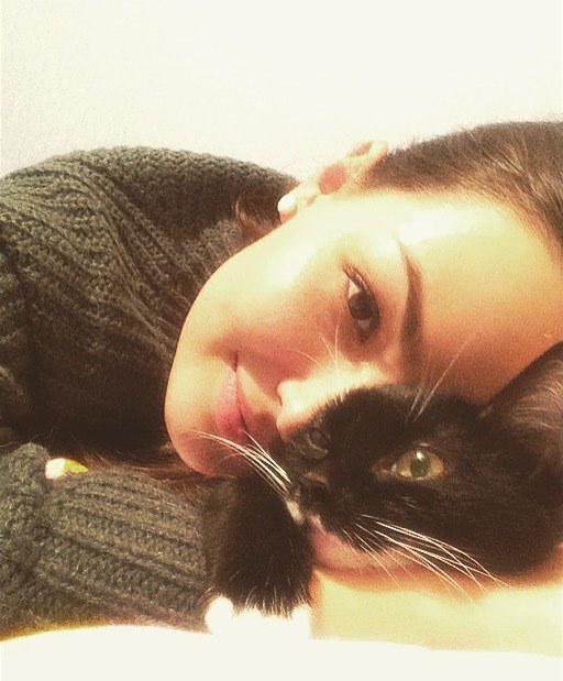 cat_Anton.jpg