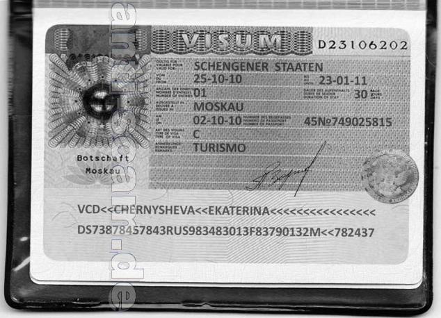 chernysheva_-_visum.jpg