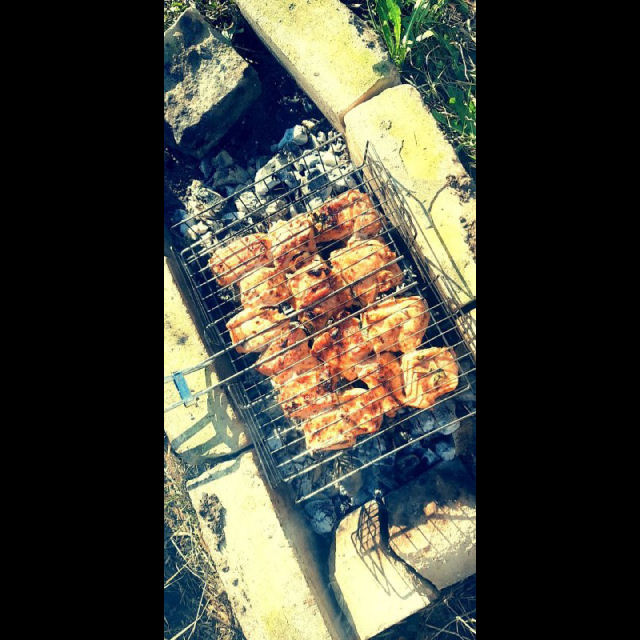 evutybz_x12.jpeg