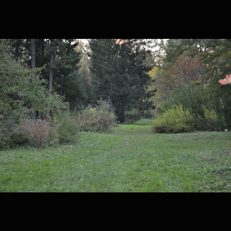 ilnaragasi8o_001.jpg