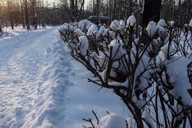images_014.jpg