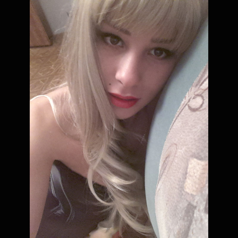 ladydreaming00f.jpg