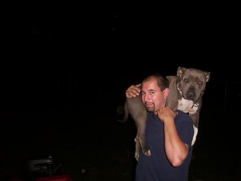 lolly_on_my_shoulder.jpg