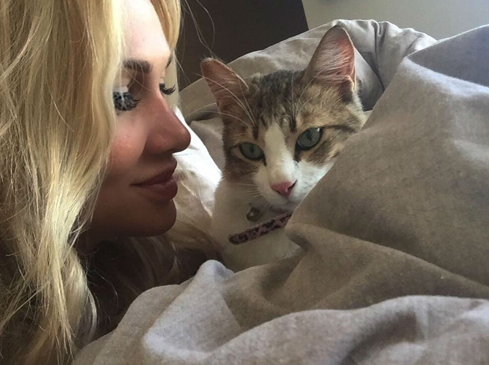 my_cat_.jpg