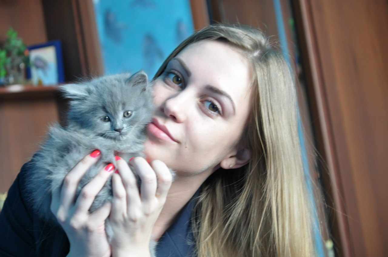 my_kitten.jpg
