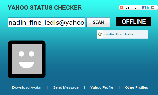 nadin_fine_ledis_profile_yahoo_20101005_1.png