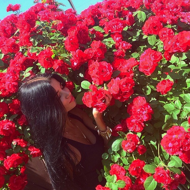 roses_003.jpg
