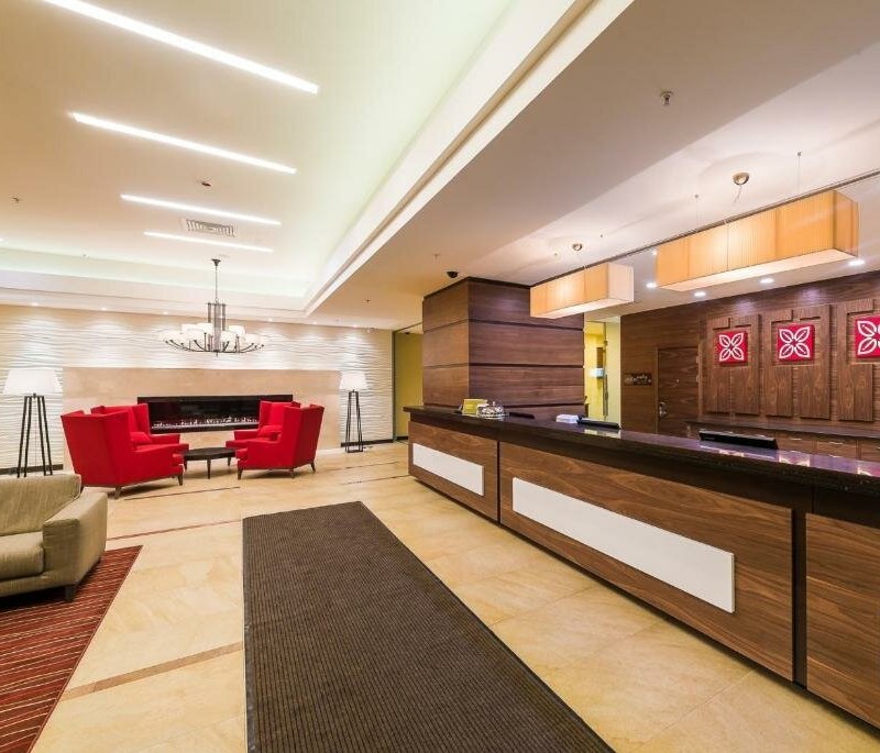 saule1hilton4.jpg