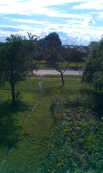 the_view_from_my_window.jpg